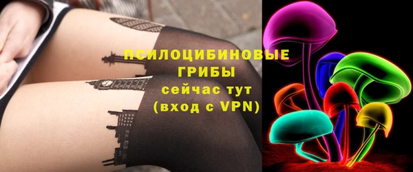гидропоника Бородино