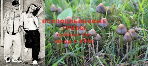 гидропоника Бородино