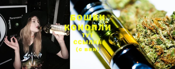 гидропоника Бородино