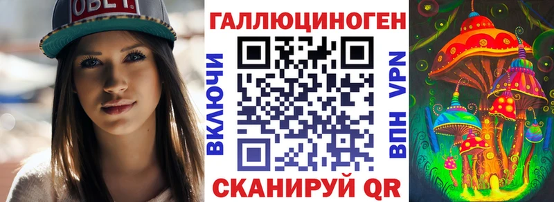 Галлюциногенные грибы MAGIC MUSHROOMS  закладка  Пионерский 